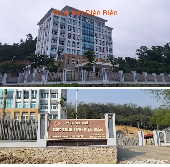 Gợi ý lựa chọn 10 Dịch vụ kế toán, Báo cáo thuế tại Phường Mường Thanh, Điện Biên