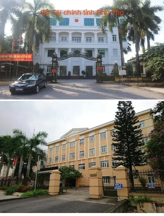 Gợi ý lựa chọn 8 Dịch vụ kế toán, Báo cáo thuế tại Phường Nông Trang, Phú Thọ