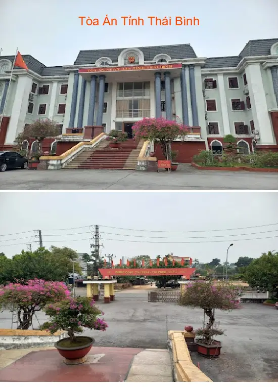 Gợi ý lựa chọn 11 Dịch vụ kế toán, Báo cáo thuế tại Phường Trần Hưng Đạo, Hưng Yên