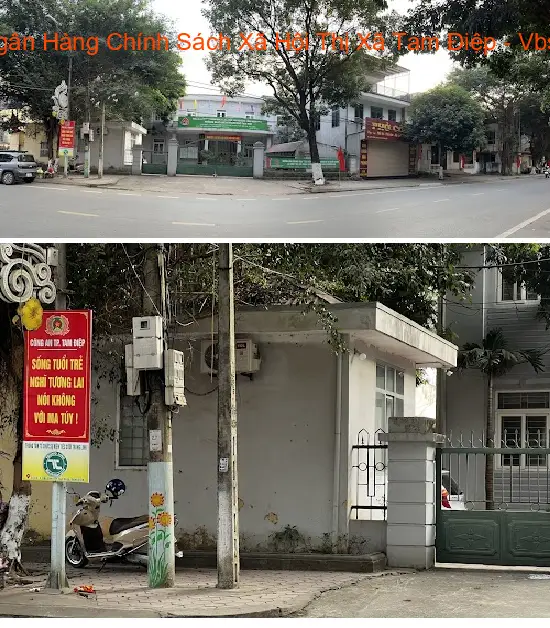 Gợi ý lựa chọn 5 Dịch vụ kế toán, Báo cáo thuế tại Phường Trung Sơn, Ninh Bình