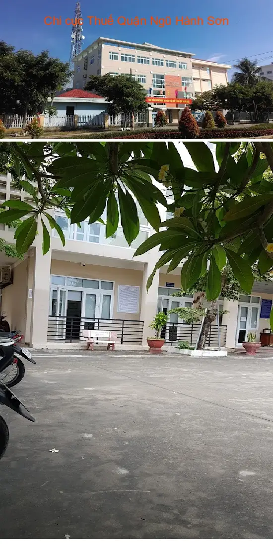 Gợi ý lựa chọn 6 Dịch vụ kế toán, Báo cáo thuế tại Phường Ngũ Hành Sơn, Thành phố Đà Nẵng
