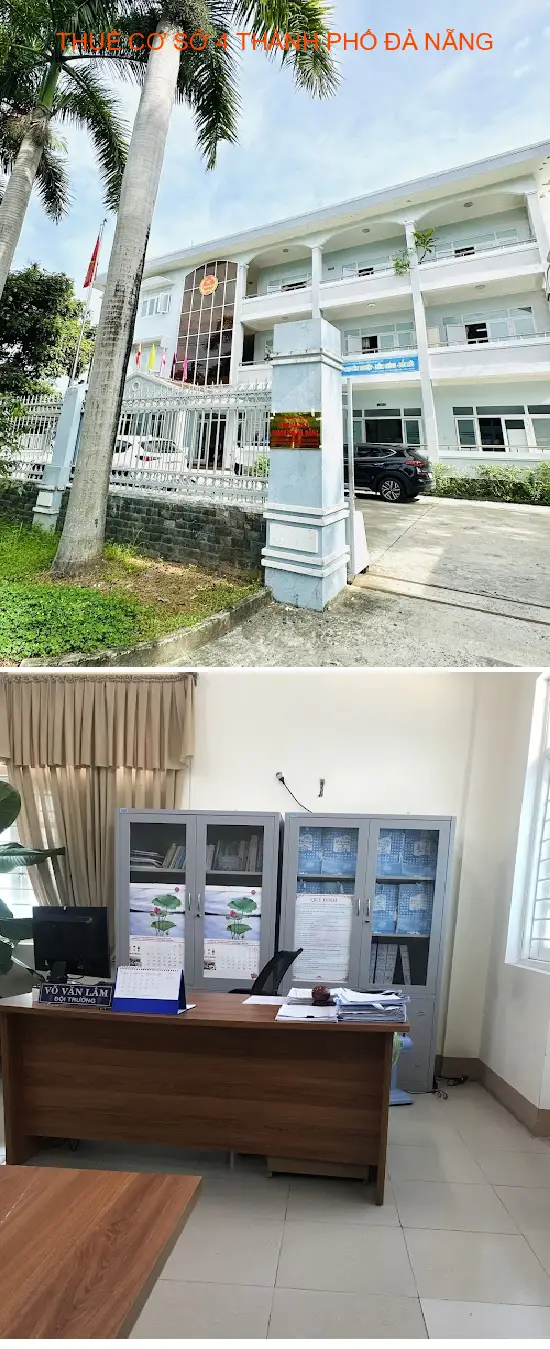 Gợi ý lựa chọn 6 Dịch vụ kế toán, Báo cáo thuế tại Phường An Khê, Thành phố Đà Nẵng