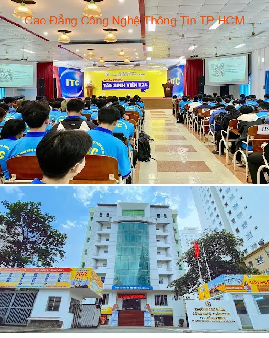 Gợi ý lựa chọn 7 Dịch vụ kế toán, Báo cáo thuế tại Phường Phú Thạnh, Thành phố Hồ Chí Minh