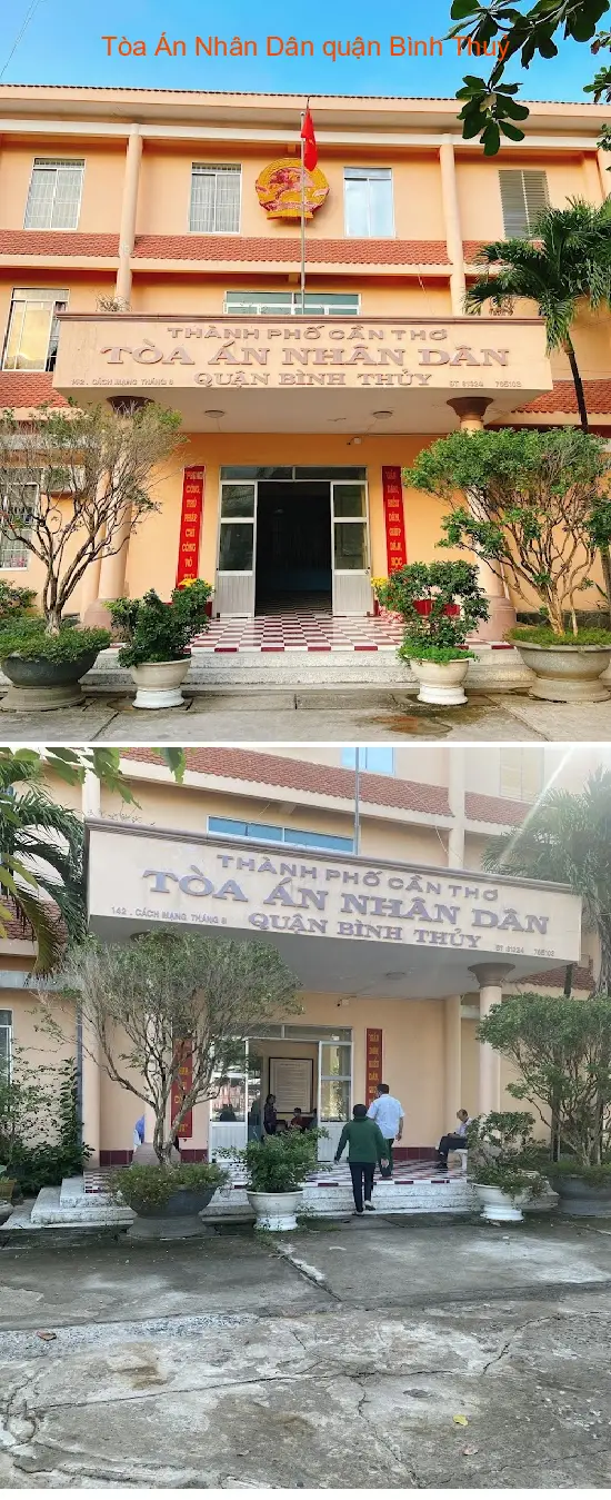 Gợi ý lựa chọn 5 Dịch vụ kế toán, Báo cáo thuế tại Phường Thới An Đông, Thành phố Cần Thơ