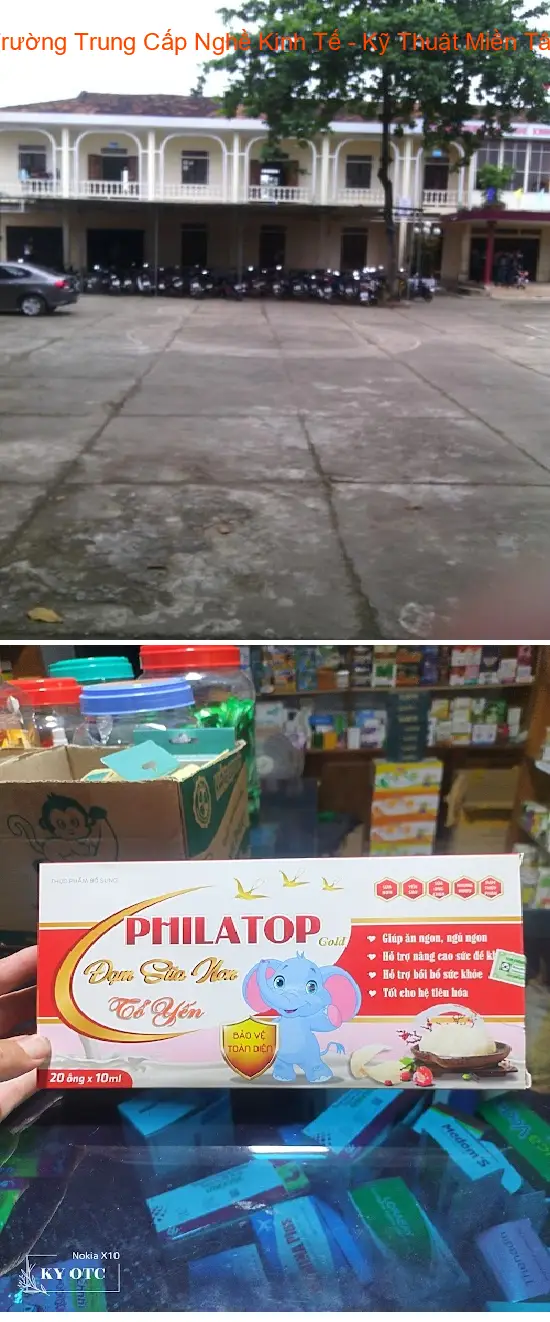 Gợi ý lựa chọn 6 Dịch vụ kế toán, Báo cáo thuế tại Phường Thái Hòa, Nghệ An