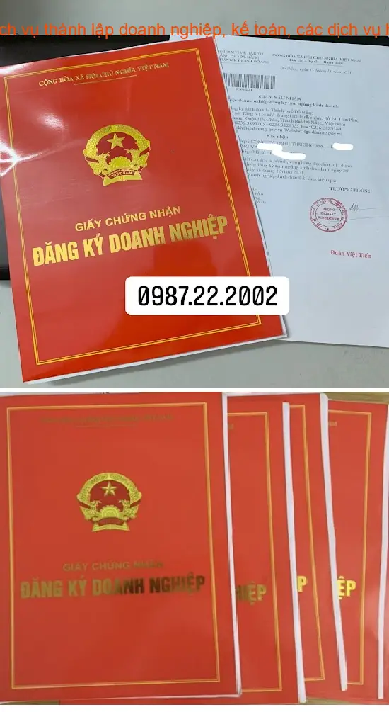 Gợi ý lựa chọn 13 Dịch vụ kế toán, Báo cáo thuế tại Phường Thanh Khê, Thành phố Đà Nẵng