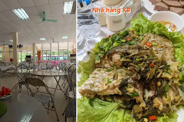 K9 Restaurant