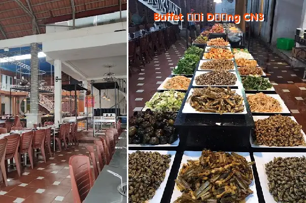 Top 12 Nhà Hàng, Quán ăn nổi tiếng tại Phường Tây Thạnh, Thành phố Hồ Chí Minh