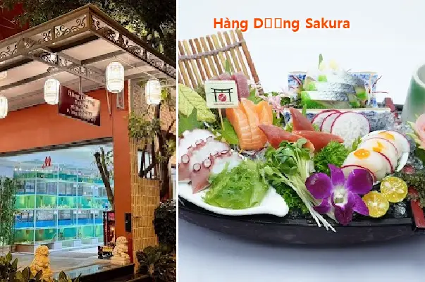 Sakura Hang Duong