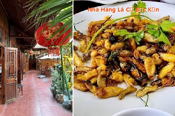 Top 12 Nhà Hàng, Quán ăn nổi tiếng tại Phường Đức Xuân, Thái Nguyên