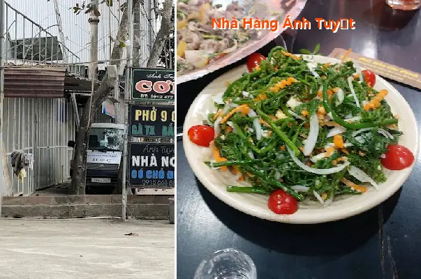 Anh Tuyet Restaurant