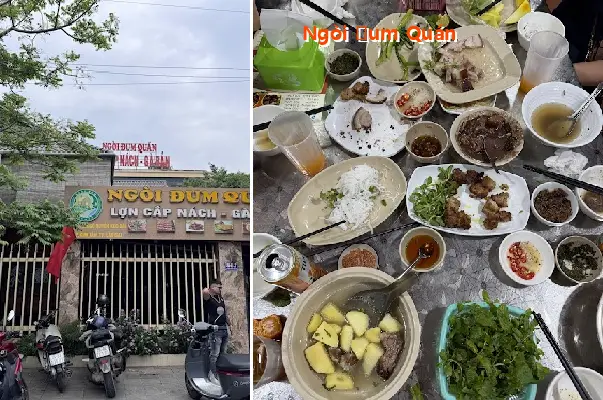 Ngoi Dum Quan