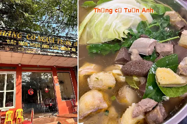 Thang Co Tuan Anh