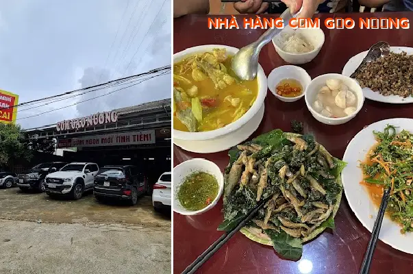 RICE RESTAURANT
