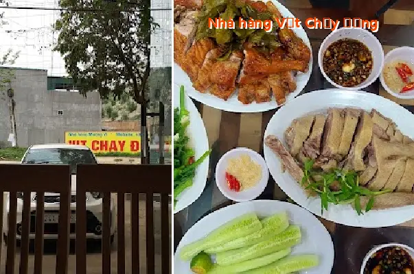 Free-Range Duck Restaurant