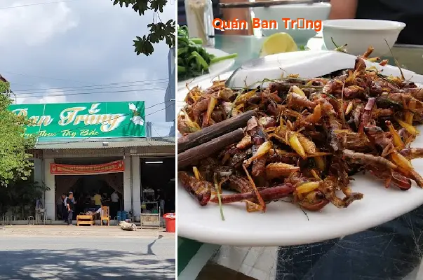 Top 2 Nhà Hàng, Quán ăn nổi tiếng tại Xã Phúc Lợi, Lào Cai