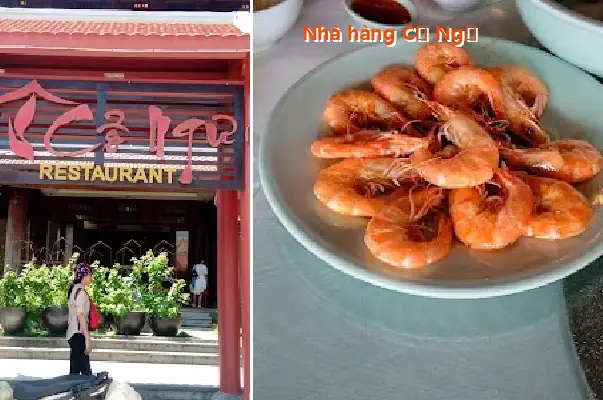 Co Ngu Restaurant