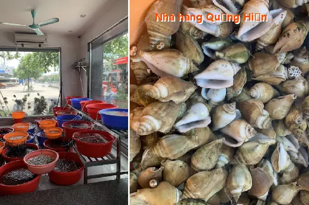 Top 12 Nhà Hàng, Quán ăn nổi tiếng tại Phường Mông Dương, Quảng Ninh