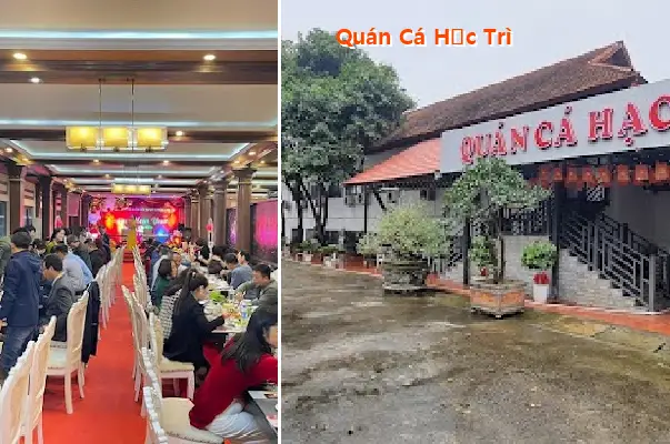 Top 12 Nhà Hàng, Quán ăn nổi tiếng tại Phường Nông Trang, Phú Thọ