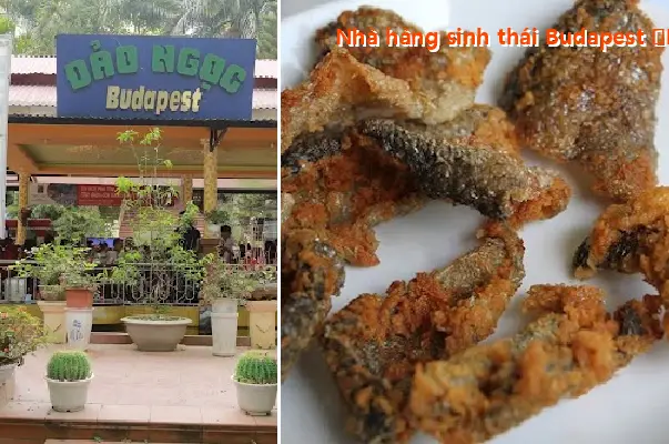 Top 10 Nhà Hàng, Quán ăn nổi tiếng tại Phường Vân Phú, Phú Thọ