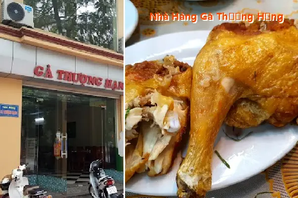Premium Chicken Restaurant