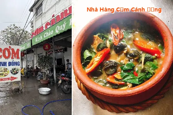 Top 7 Nhà Hàng, Quán ăn nổi tiếng tại Phường Trần Nhân Tông, Thành phố Hải Phòng