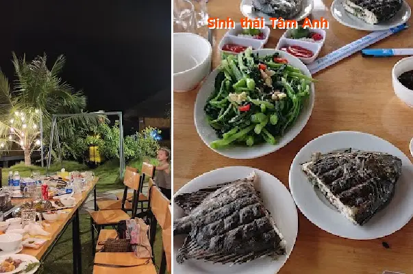 Tam Anh Ecology