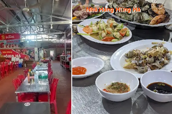 Top 3 Nhà Hàng, Quán ăn nổi tiếng tại Phường Nam Đồ Sơn, Thành phố Hải Phòng