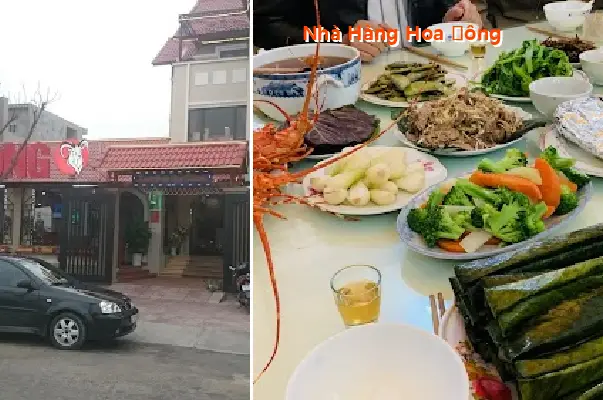 Hoa Dong Restaurant