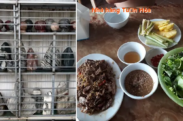 Tuan Hoa Restaurant