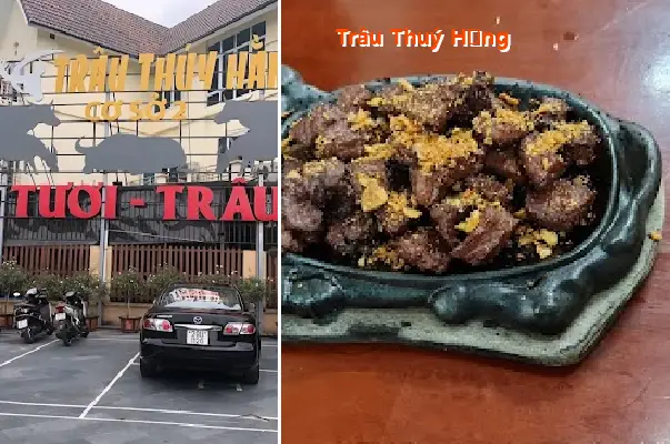 Trau Thuy Hang