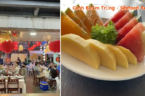 White Sail - Seafood Restaurant - Local Restaurant
