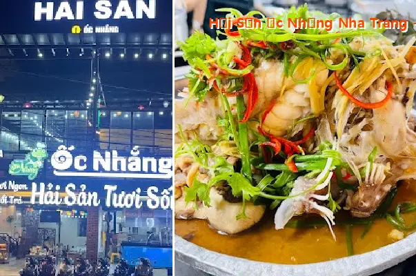 Nha Trang Snail Seafood - Nha Trang Seafood