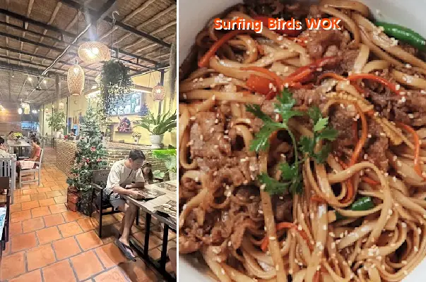 Surfing Birds WOK