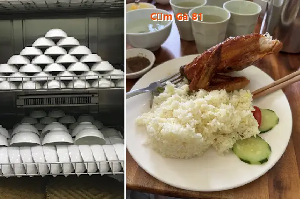 Chicken Rice 81