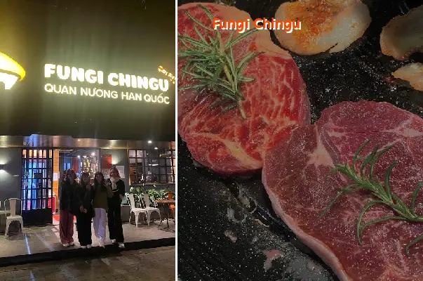 Fungi Chingu