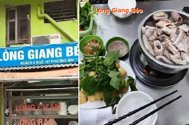 Long Giang Beo