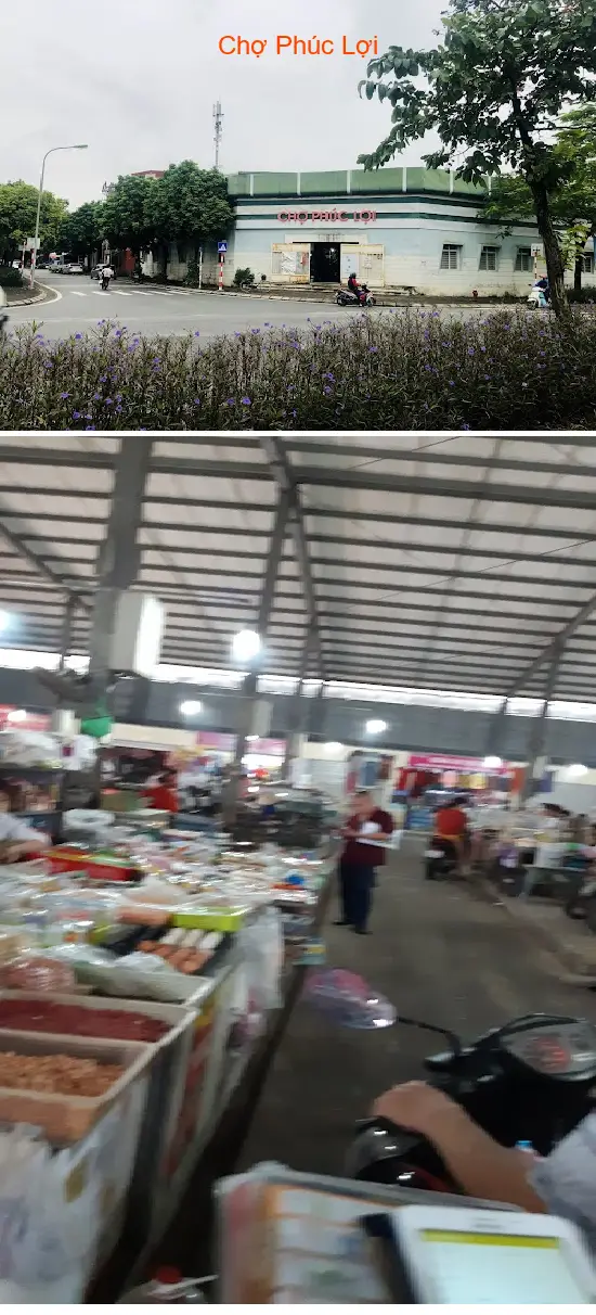 Phuc Loi Market
