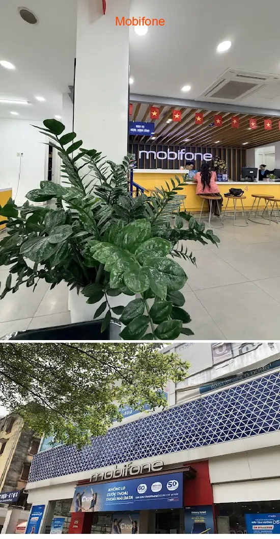 Mobifone