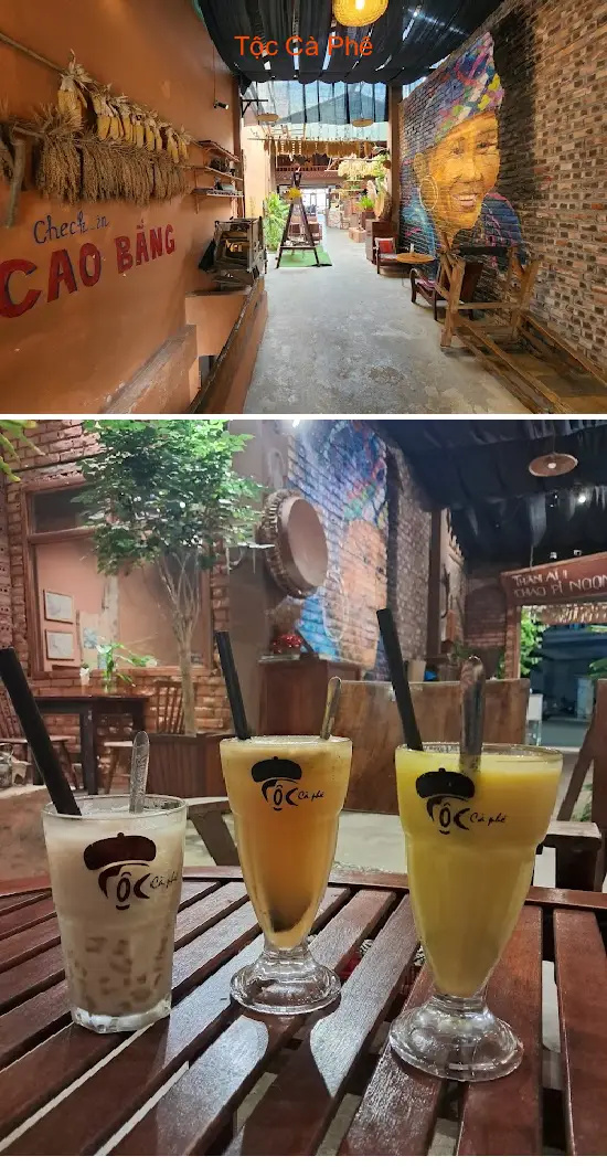 Coffee Tribe