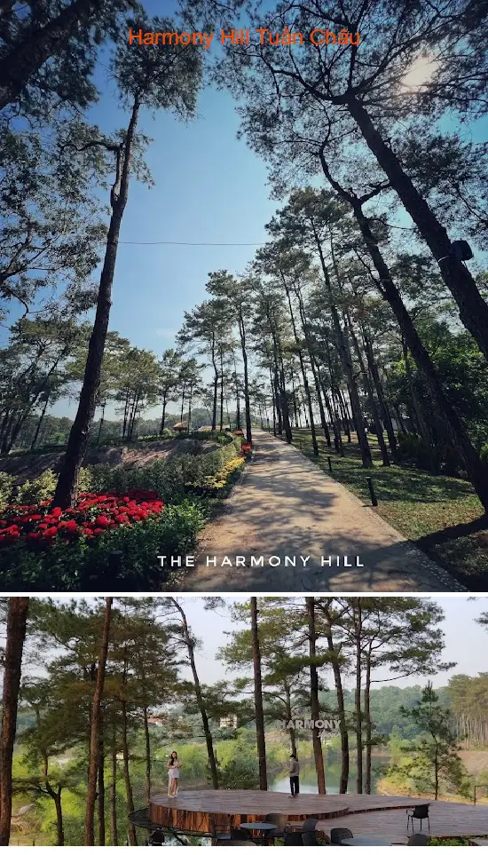 Harmony Hill Tuan Chau