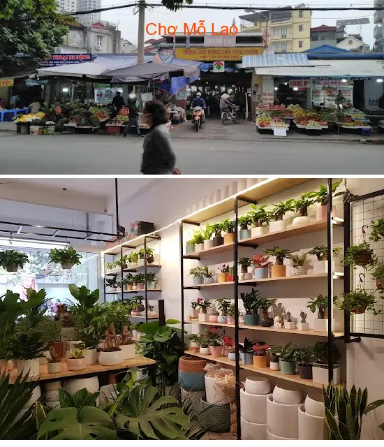 Mo Lao Market