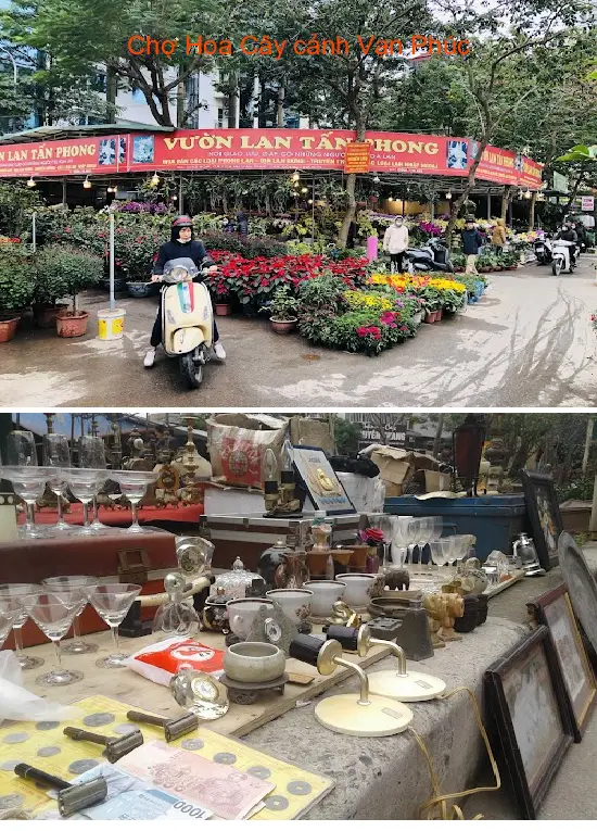 Van Phuc Flower and Ornamental Plant Market
