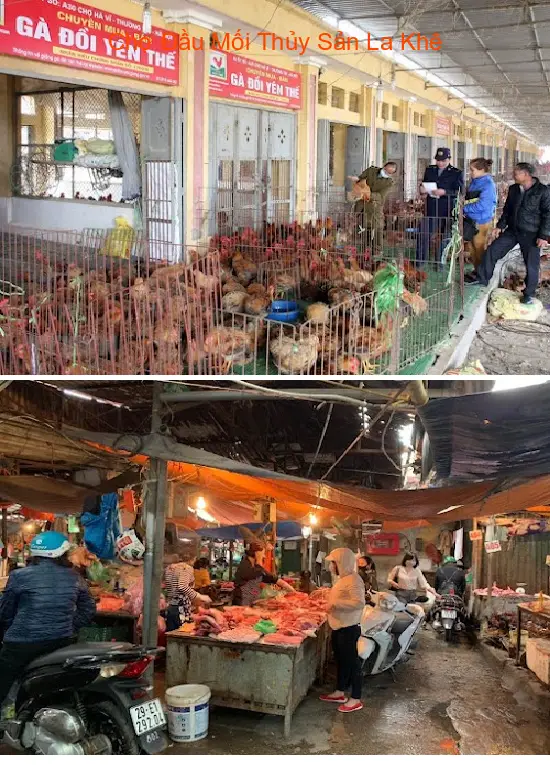 La Khe Seafood Wholesale Market