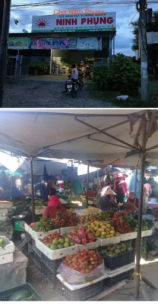 Ninh Phung Market