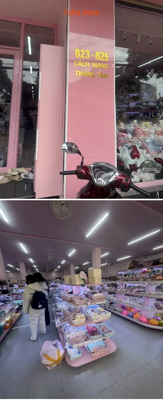 TyNa Store