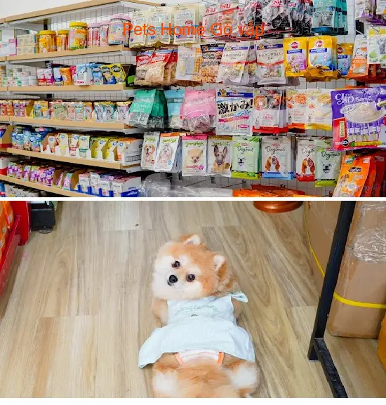 Pets Home Go Vap