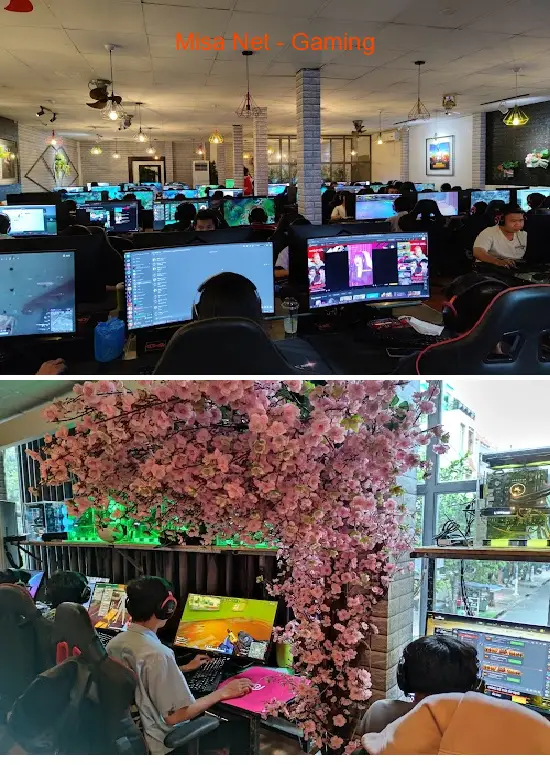 Misa Net - Gaming