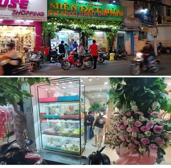 Pet shop in the promised land