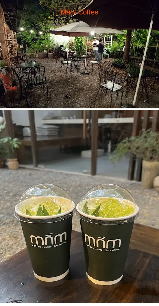 Coffee Sprouts